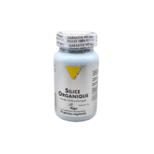 VIT'ALL+ SILICE 100MG 30GEL