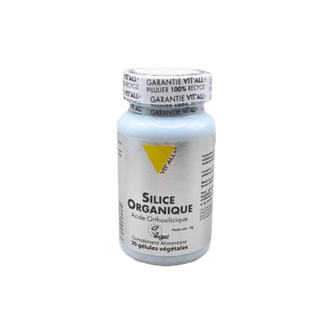 VIT'ALL+ SILICE 100MG 30GEL